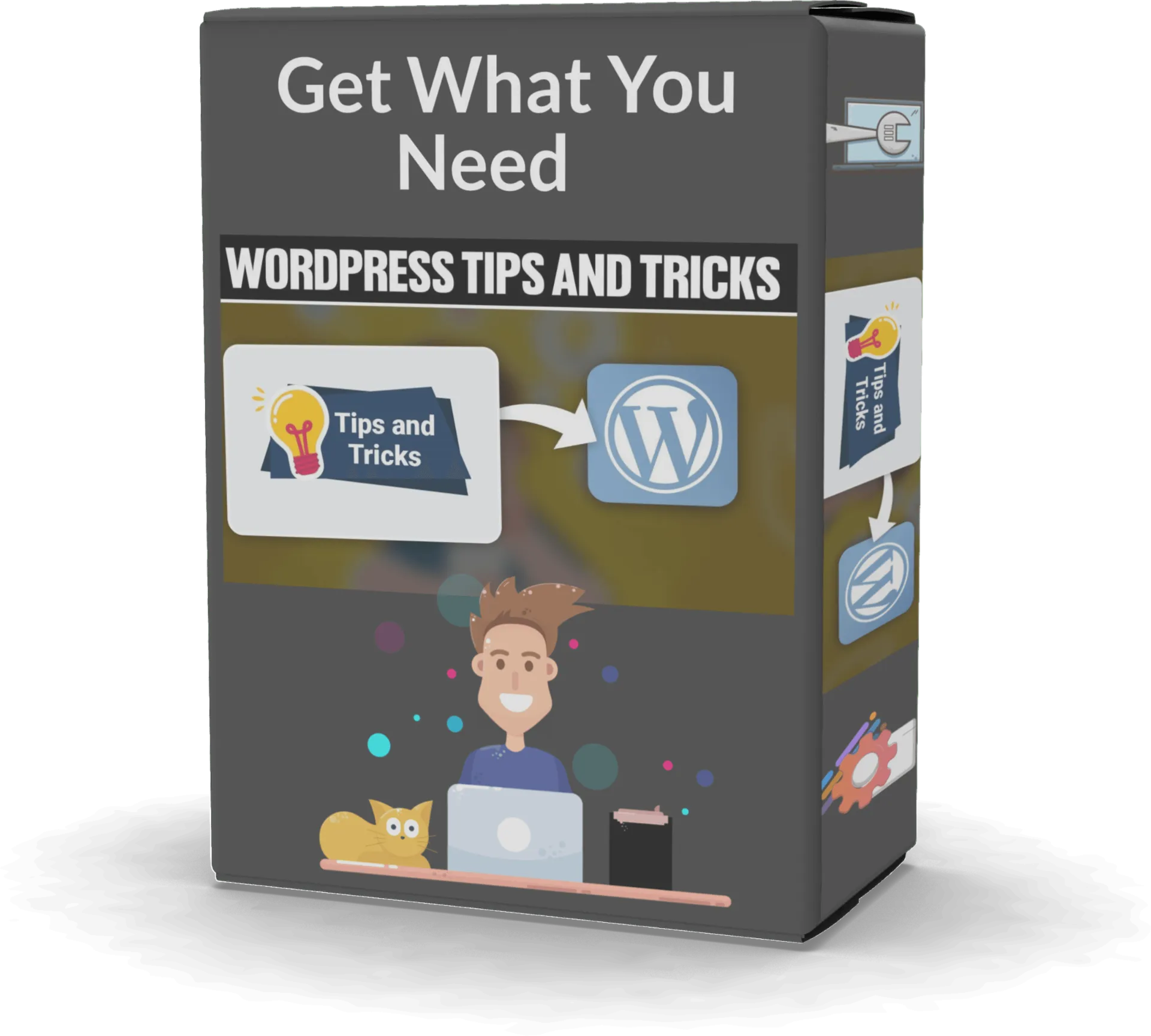 Get What You Need From WordPress